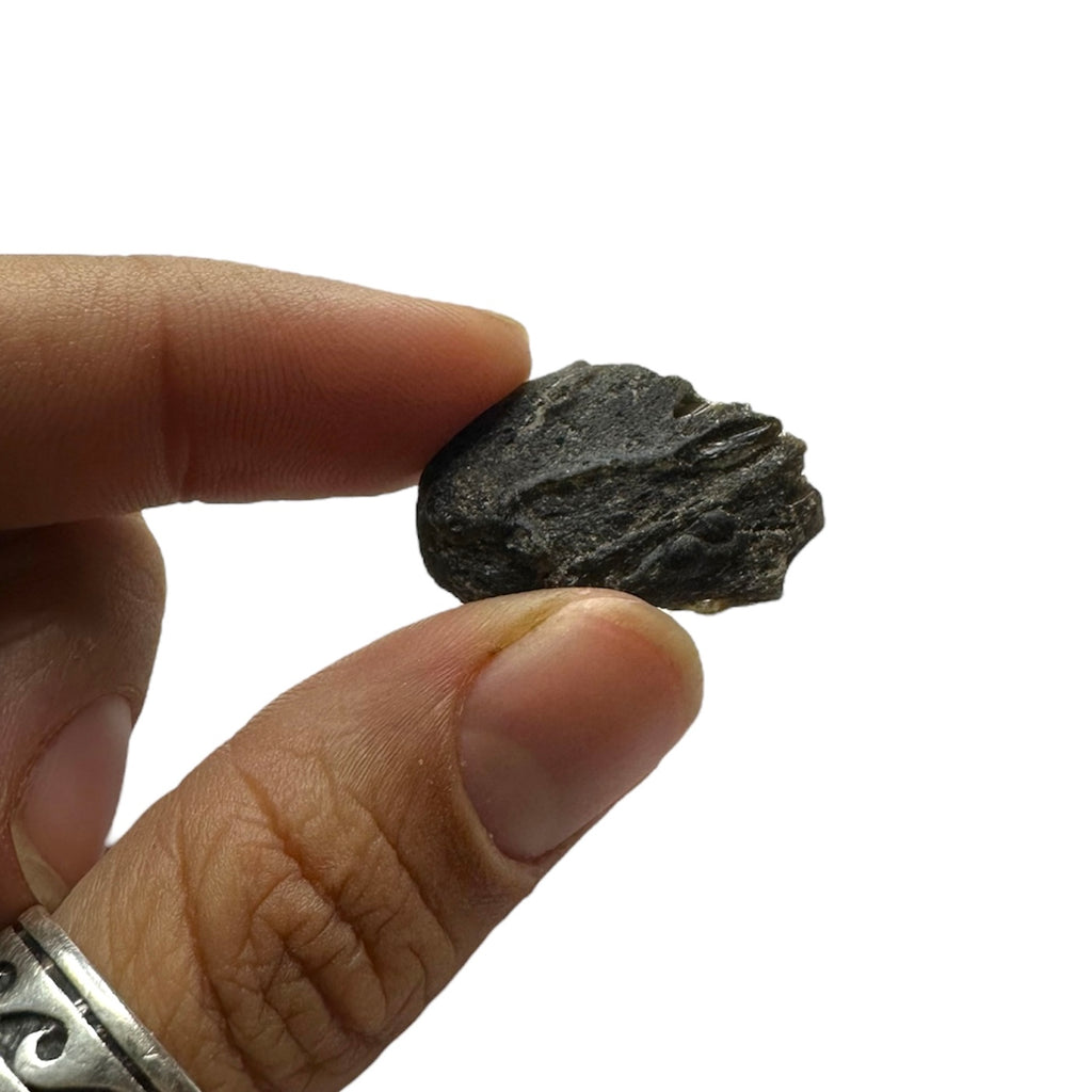 Darwin Glass (Tasmanian Tektite, Tasmanite, Tasmanian Black Glass)—Queenstown, Tasmania 3