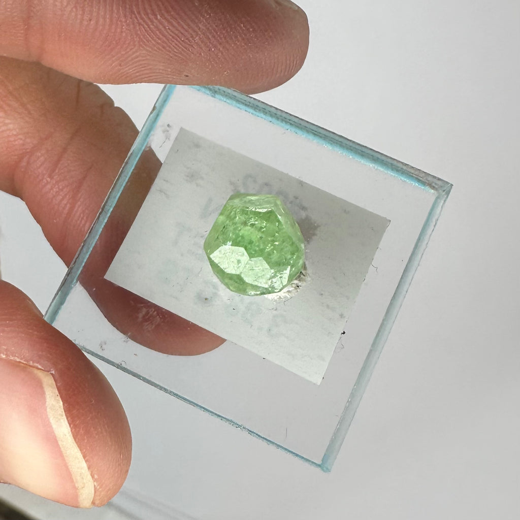 Tsavorite Garnet Rare (TN Size)—Tanzania 2
