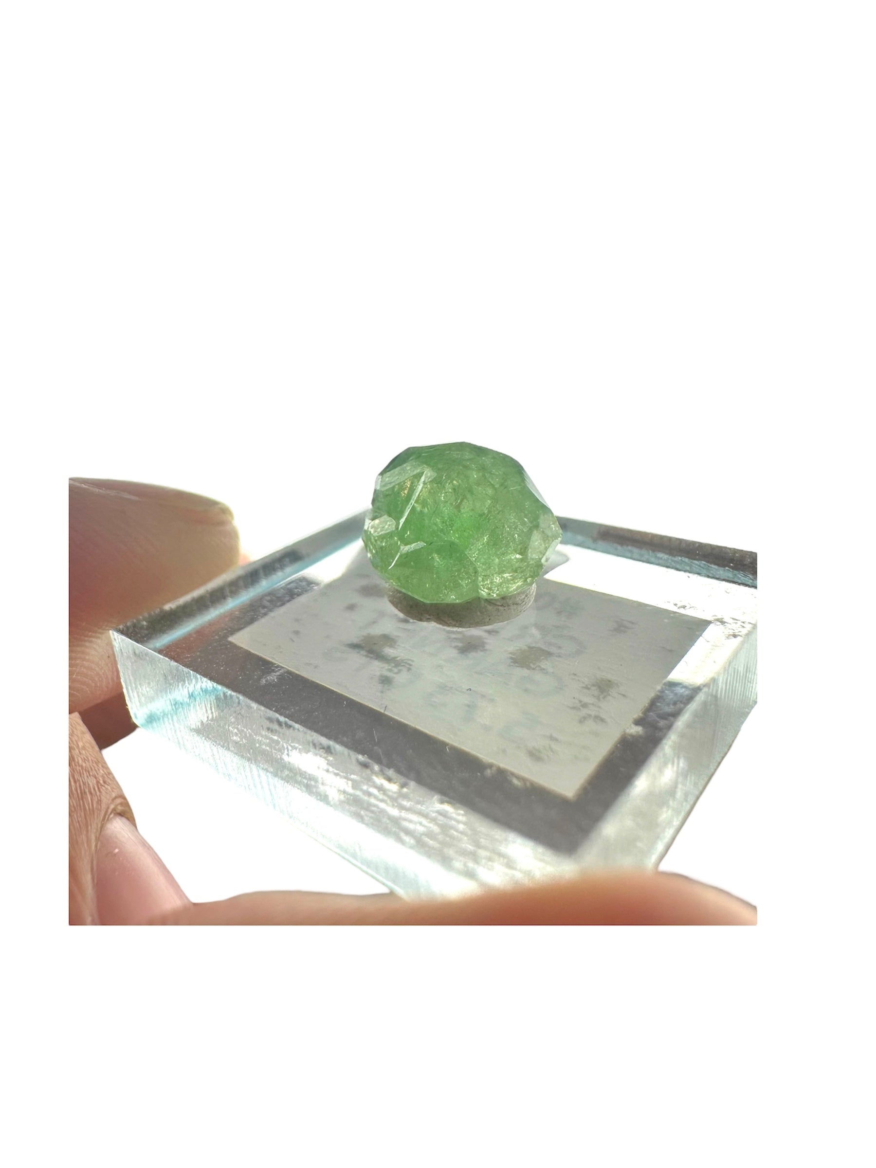 Tsavorite Garnet Rare (TN Size)—Tanzania 3