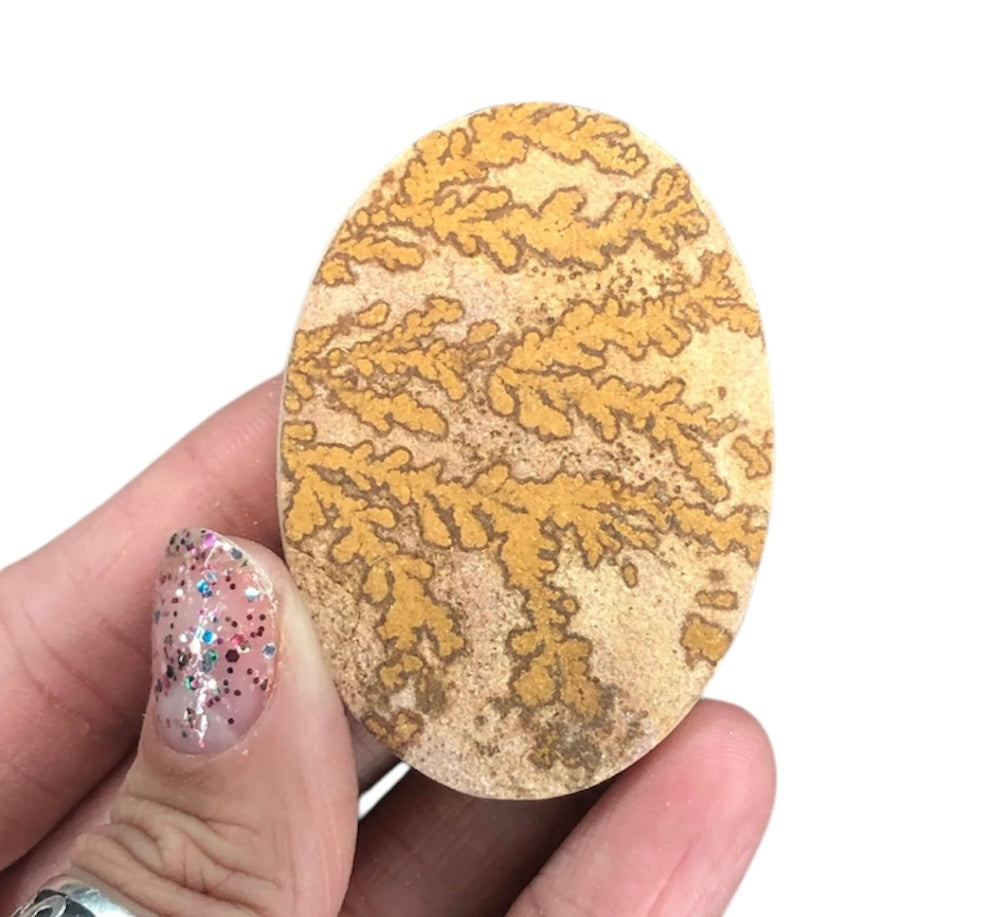 Dendritic Limestone D Cab—Solenhofen, Jurassic, Germany MINI21