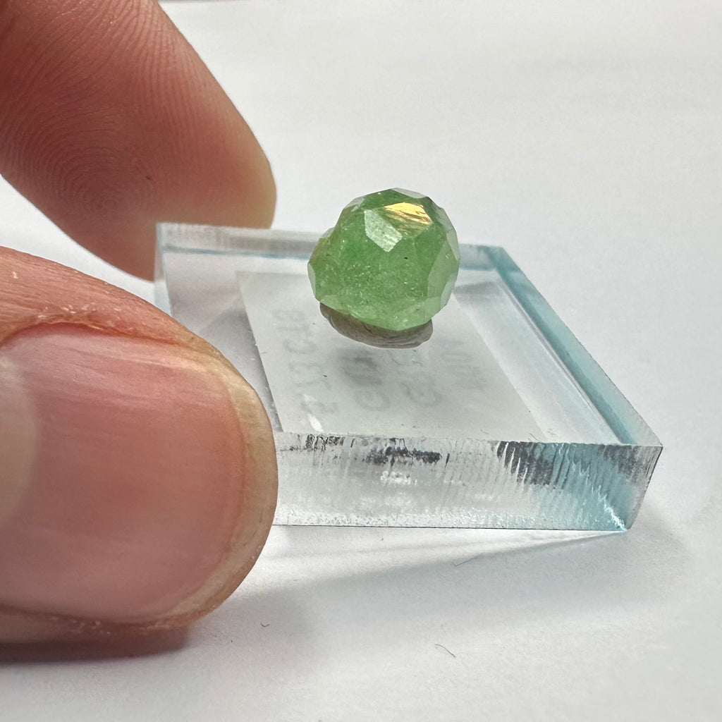 Tsavorite Garnet Rare (TN Size)—Tanzania 3