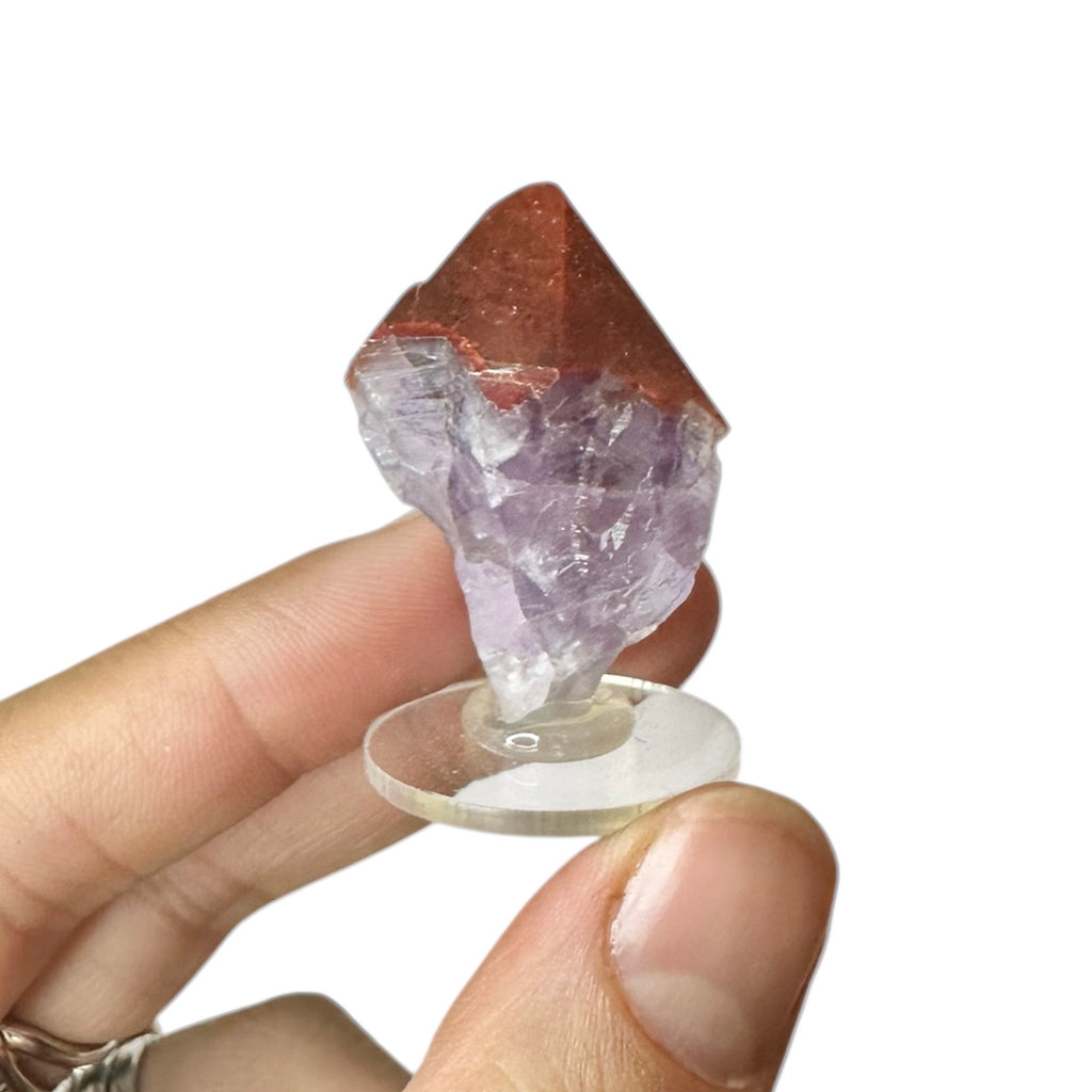 Amethyst “Red Cap” Hematite Crystal—Blue Points Mine, Thunder Bay, Canada 4