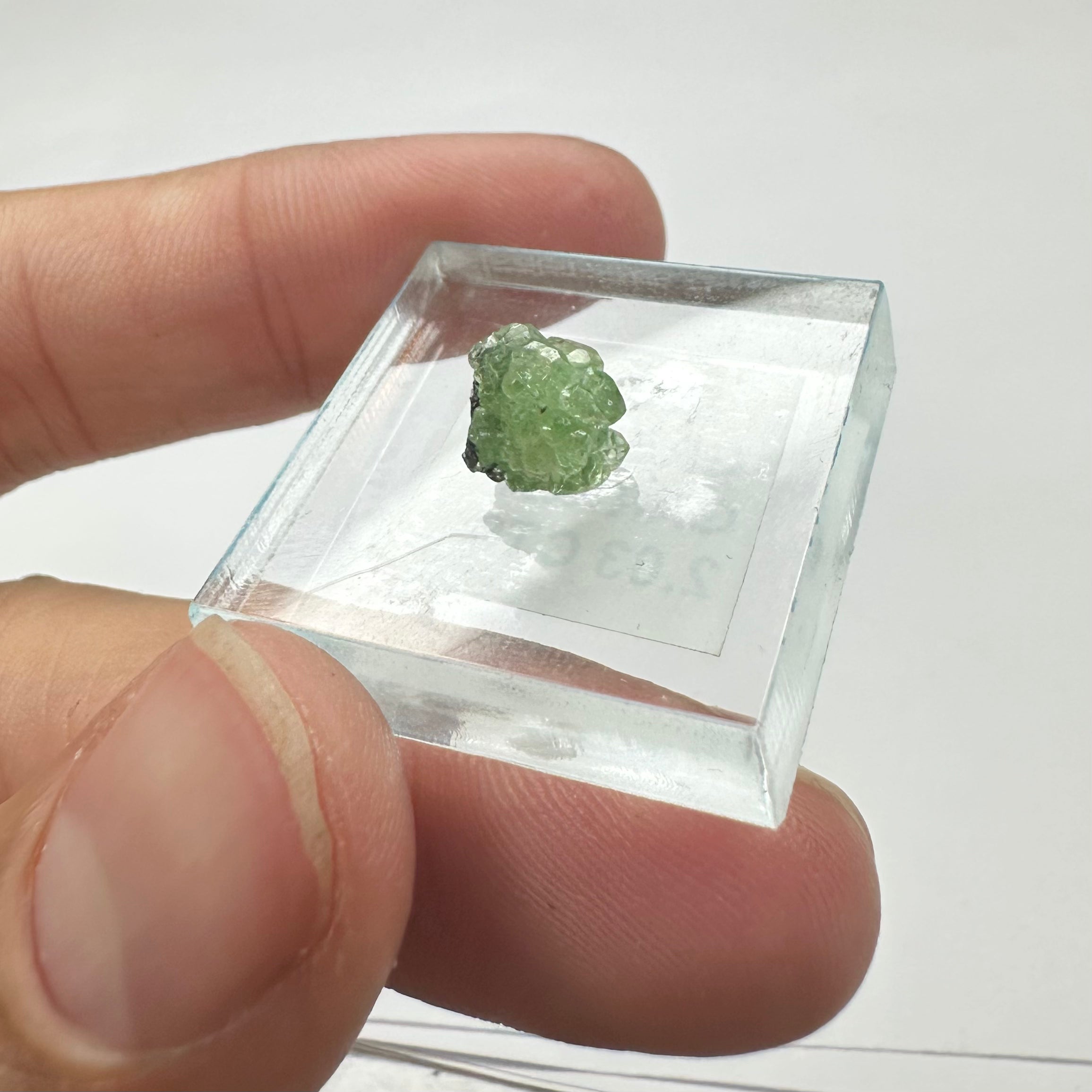 Tsavorite Garnet Rare (TN Size)—Tanzania 1