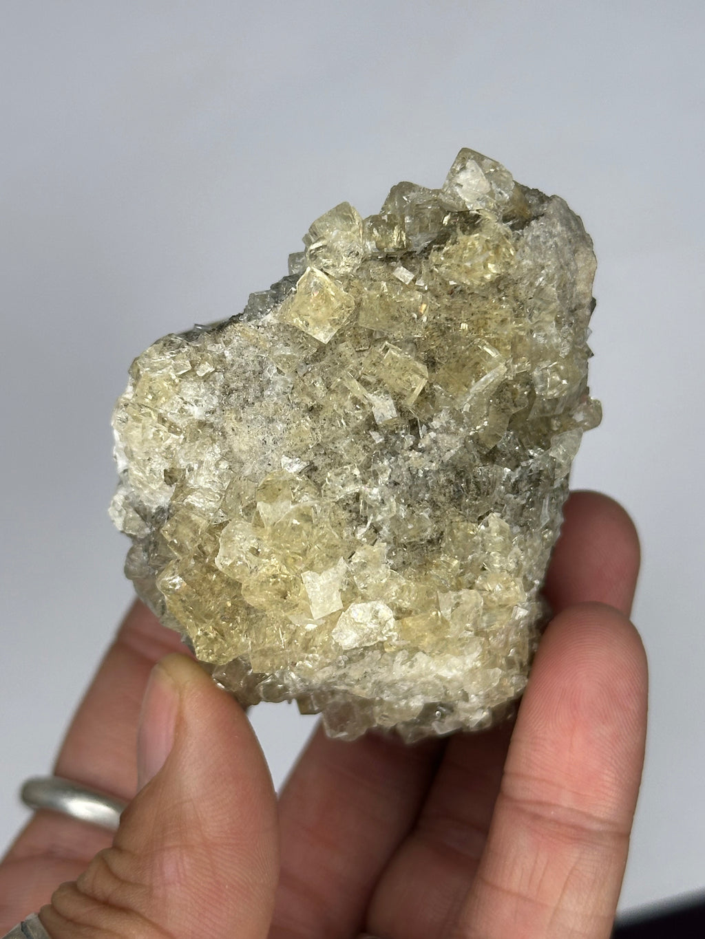 Fluorite “Cream Soda” Crystals, UV/Phosphorescent—Clay Center, Ohio, USA