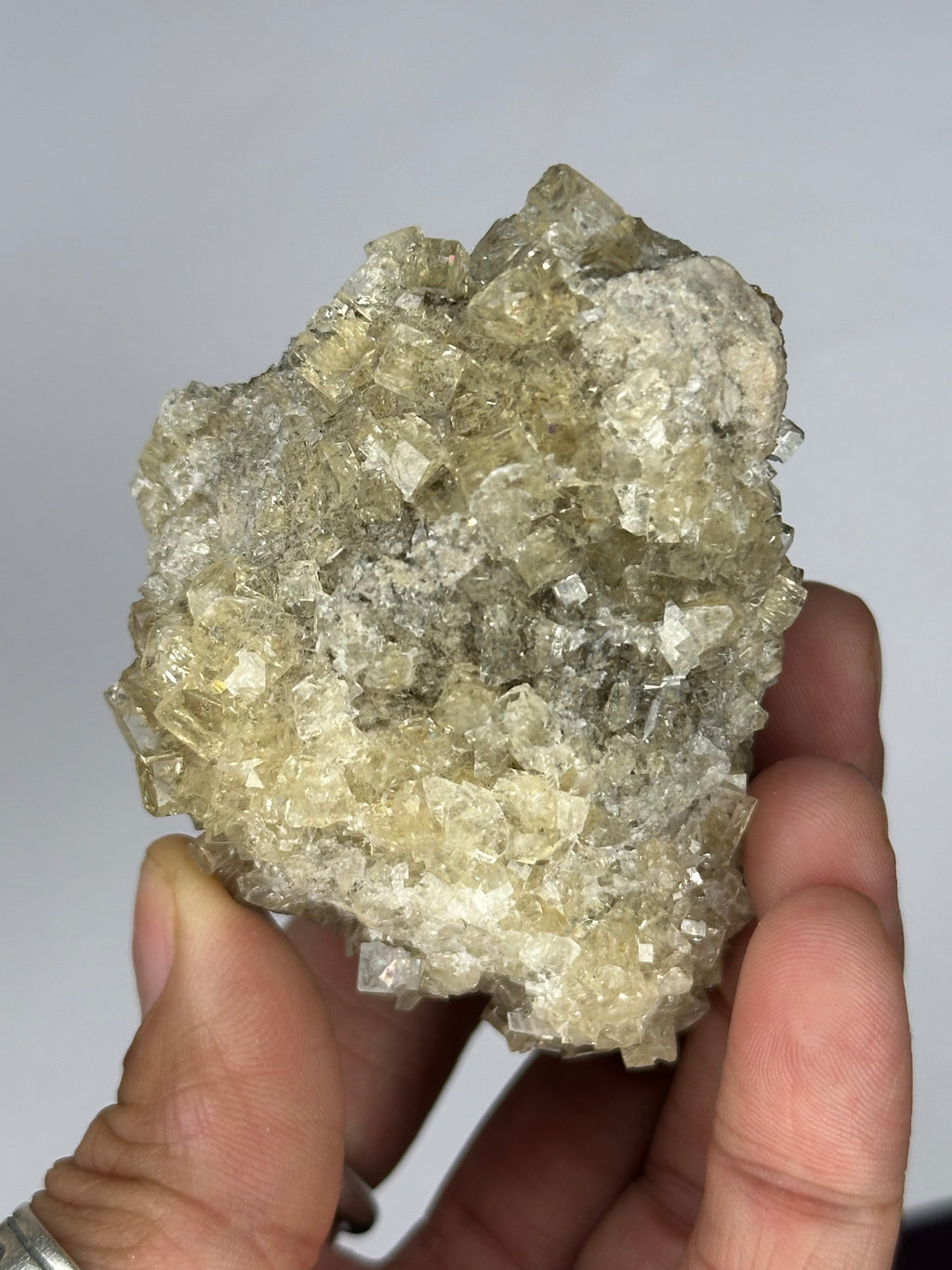 Fluorite “Cream Soda” Crystals, UV/Phosphorescent—Clay Center, Ohio, USA