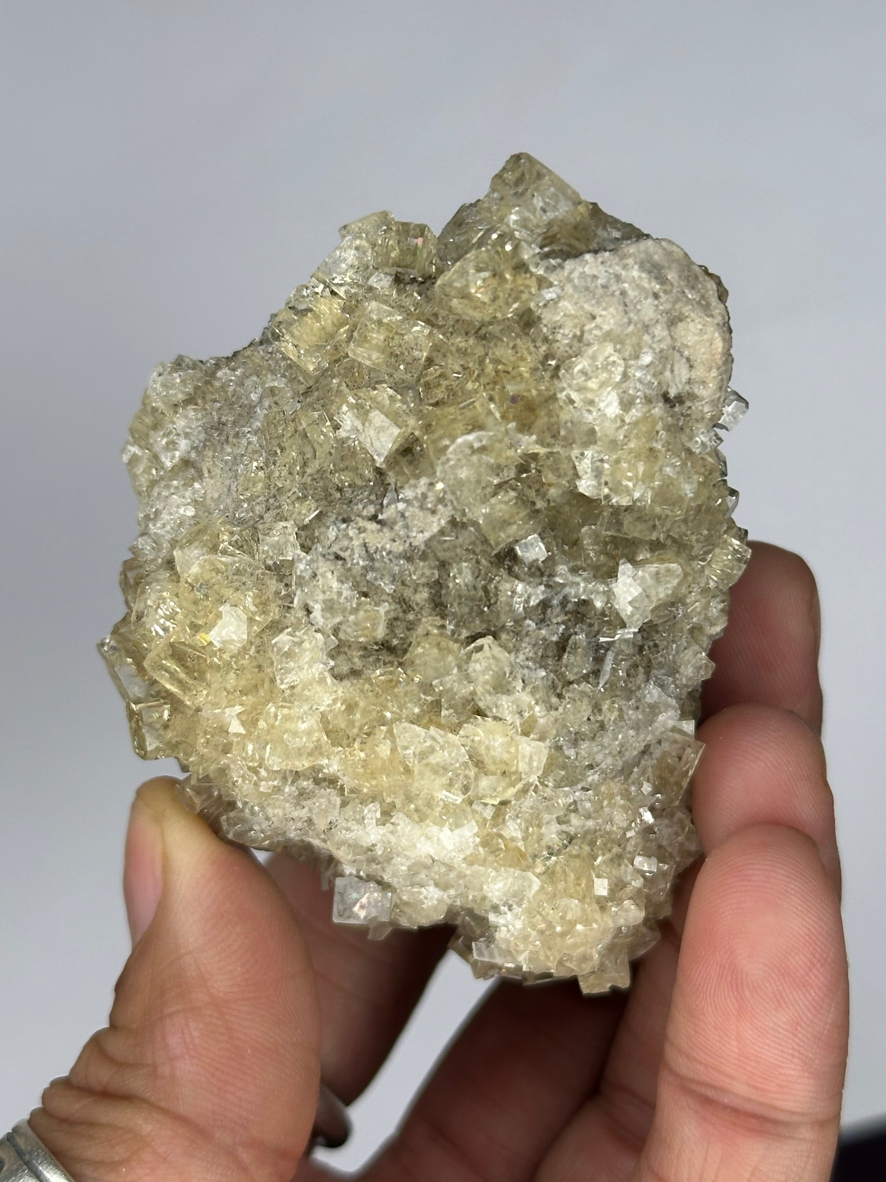 Fluorite “Cream Soda” Crystals, UV/Phosphorescent—Clay Center, Ohio, USA