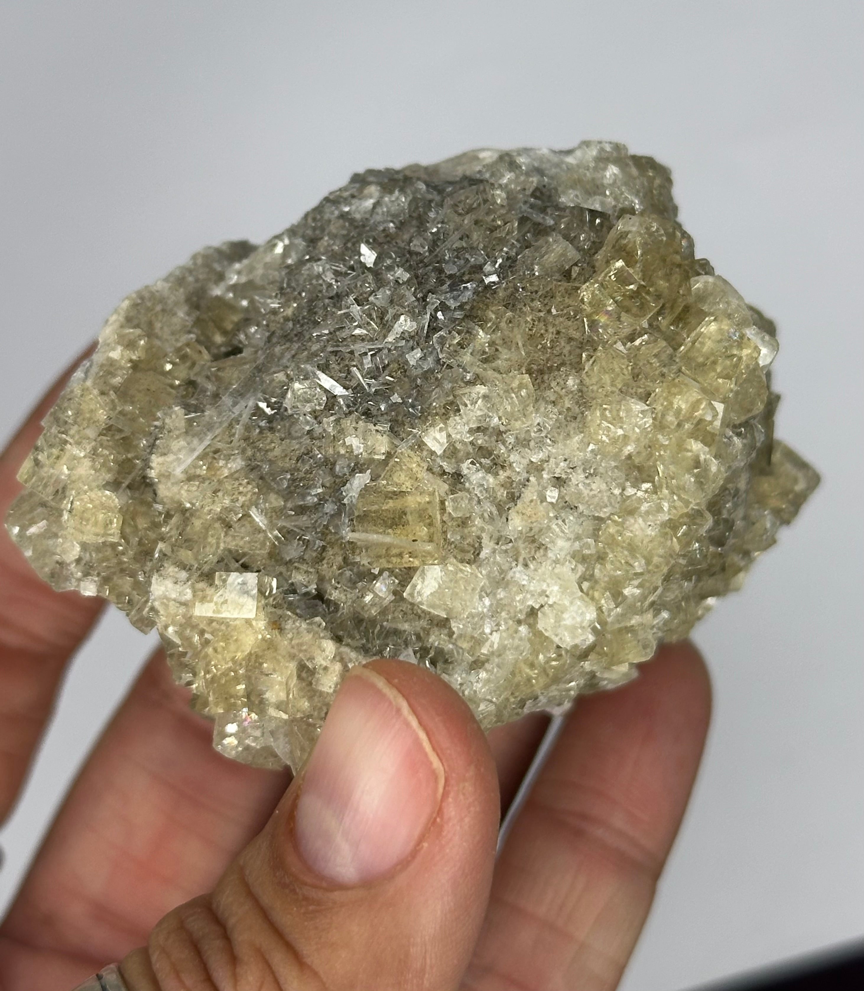 Fluorite “Cream Soda” Crystals, UV/Phosphorescent—Clay Center, Ohio, USA