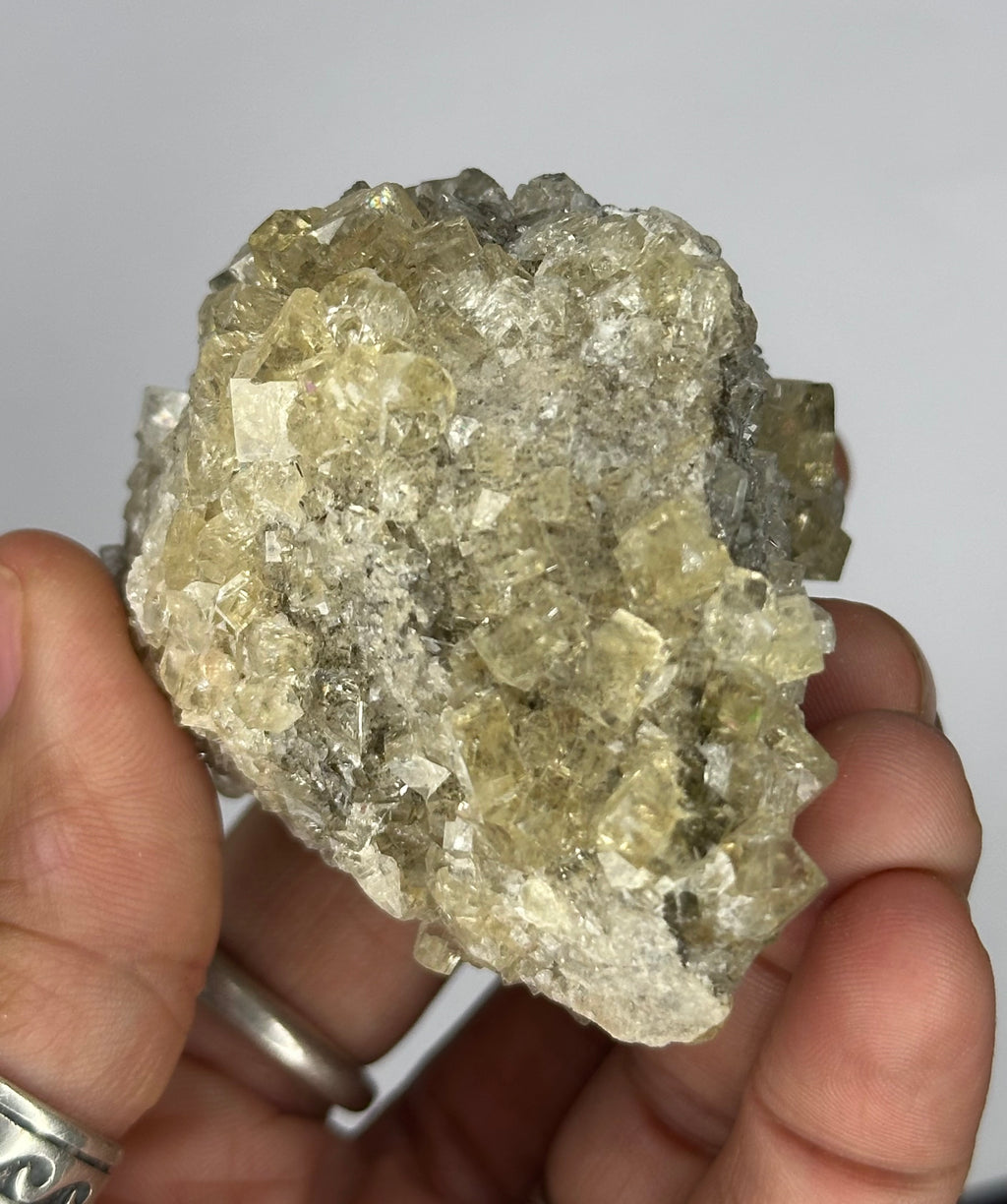 Fluorite “Cream Soda” Crystals, UV/Phosphorescent—Clay Center, Ohio, USA