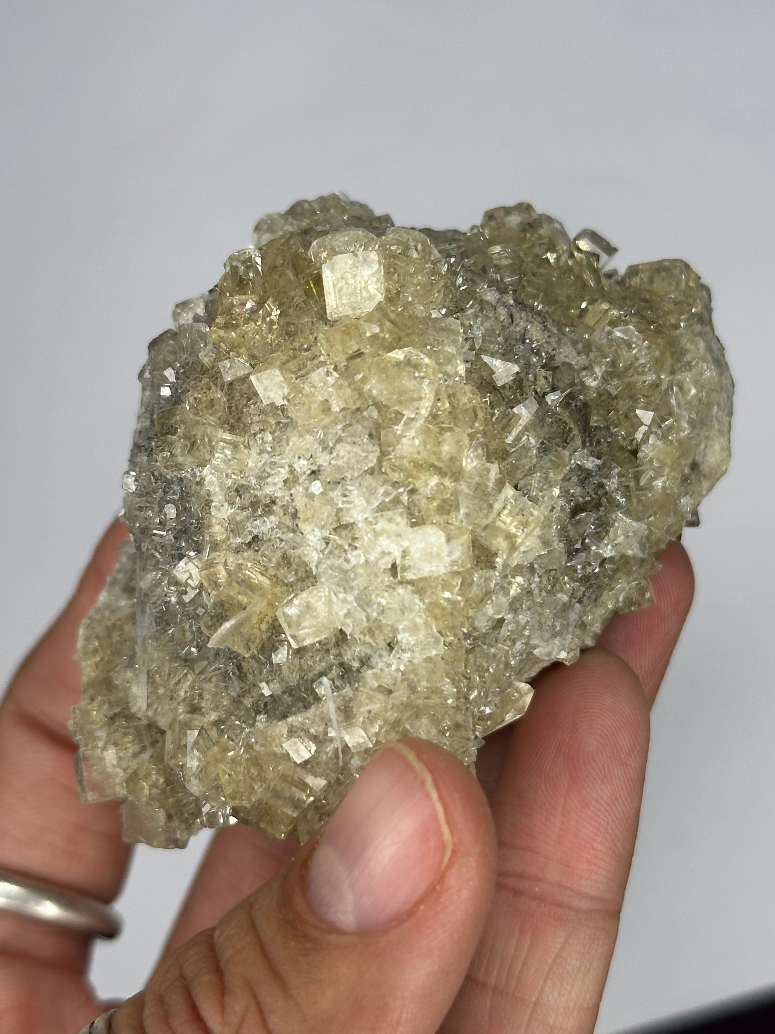 Fluorite “Cream Soda” Crystals, UV/Phosphorescent—Clay Center, Ohio, USA