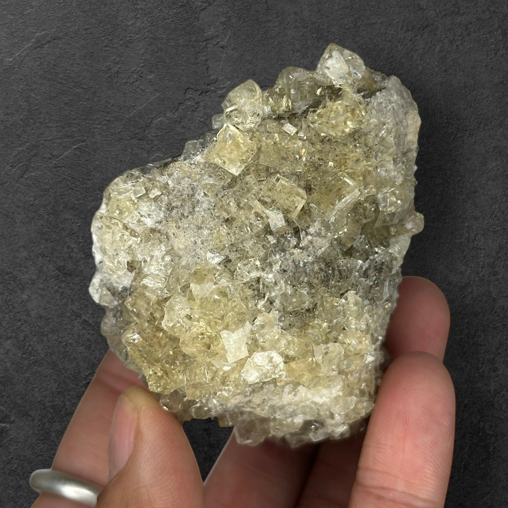 Fluorite “Cream Soda” Crystals, UV/Phosphorescent—Clay Center, Ohio, USA