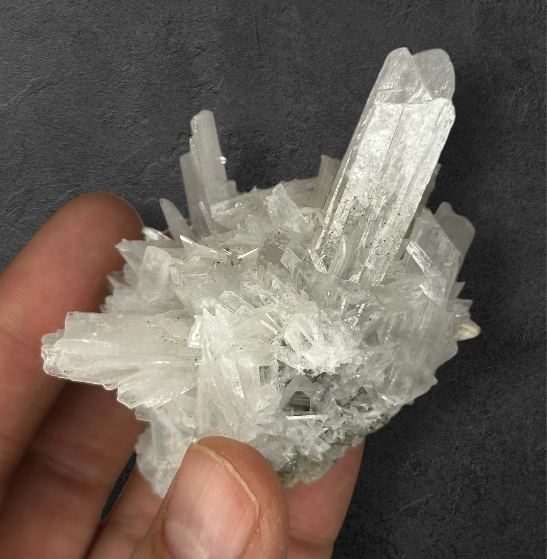 Celestite & Calcite, UV/Phosphorescent—Clay Center, Ohio USA 1