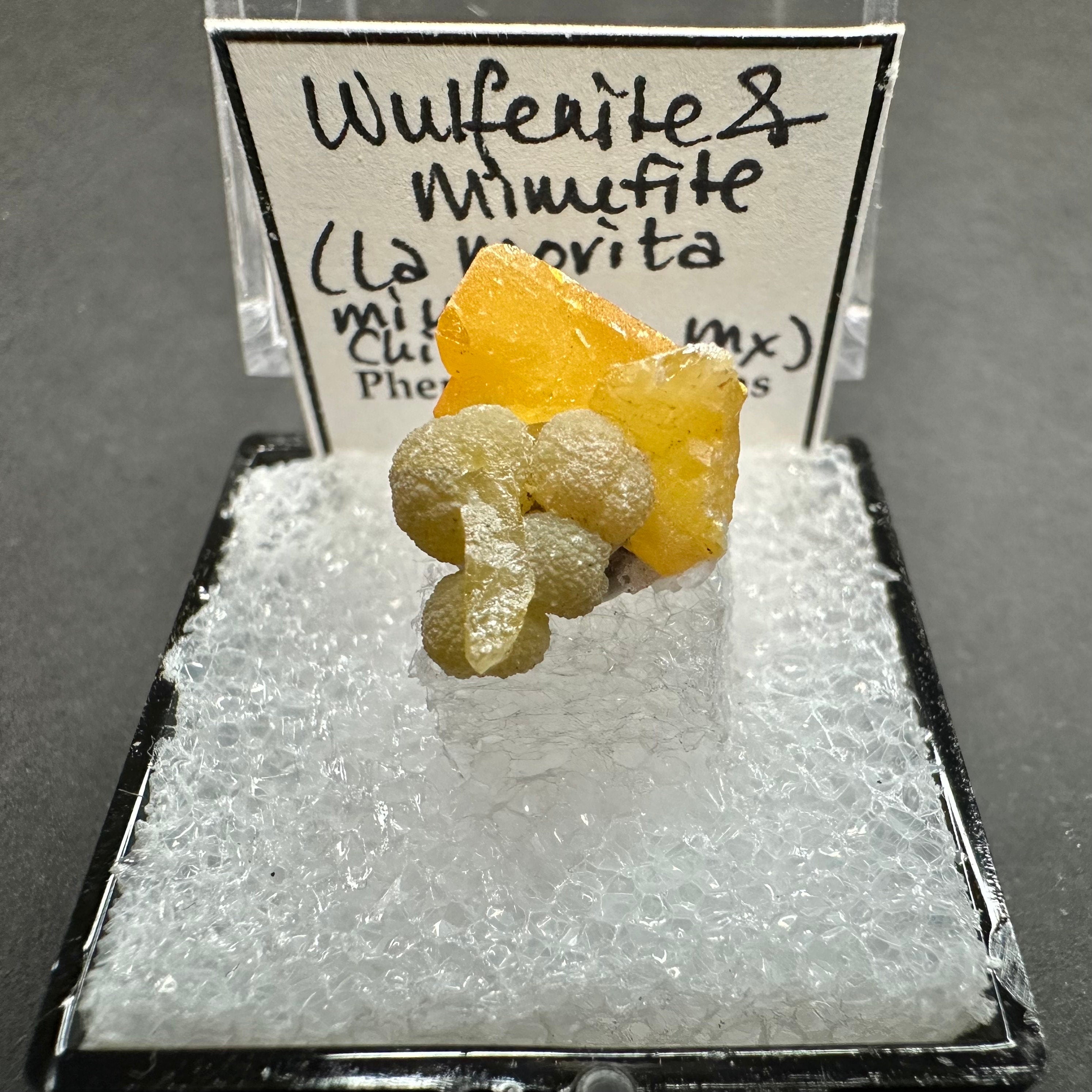 Wulfenite Mimetite (Thumbnail Specimen)--La Morita Mine, Mexico TN23