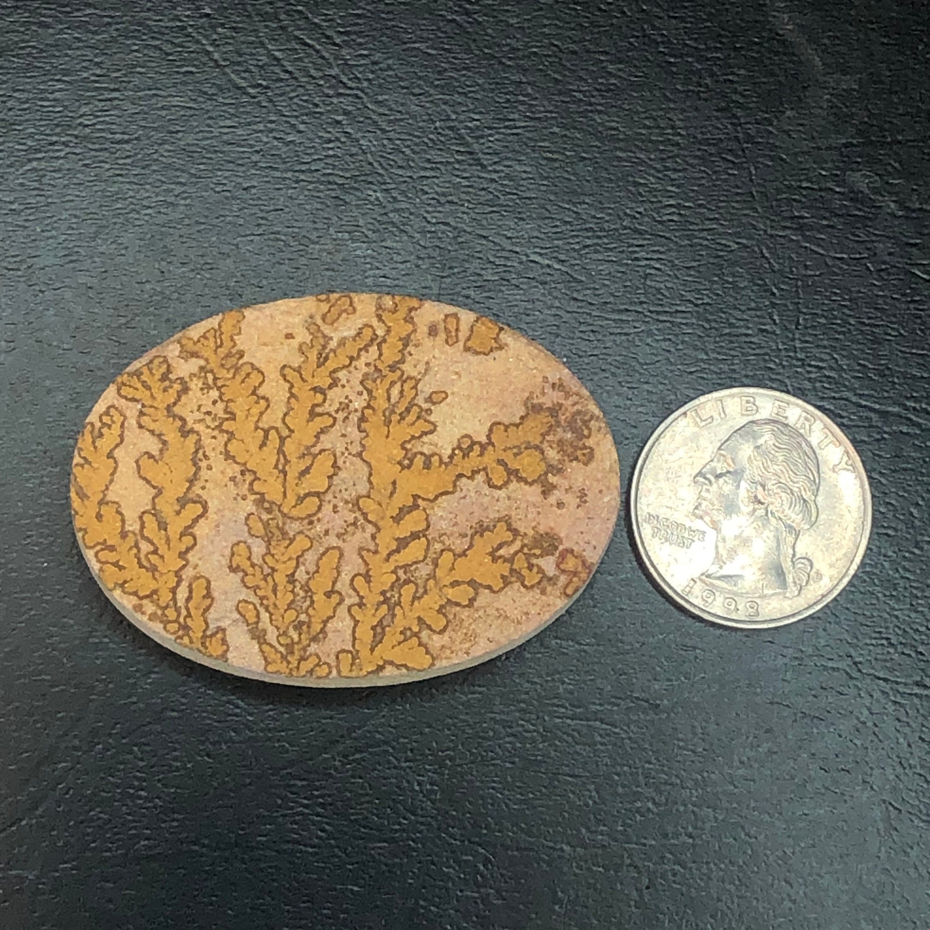 Dendritic Limestone D Cabochon-- Solenhofen, Jurassic Age, Hienheim, Germany MINI21