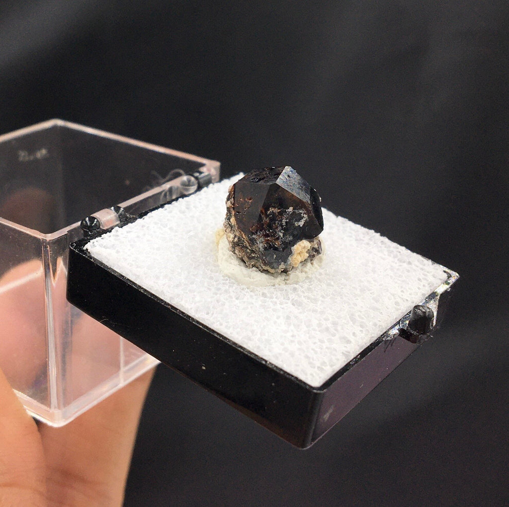 Almandine Garnet (Thumbnail Specimen)--Garnet Hill, White Pine, Nevada. USA TN1