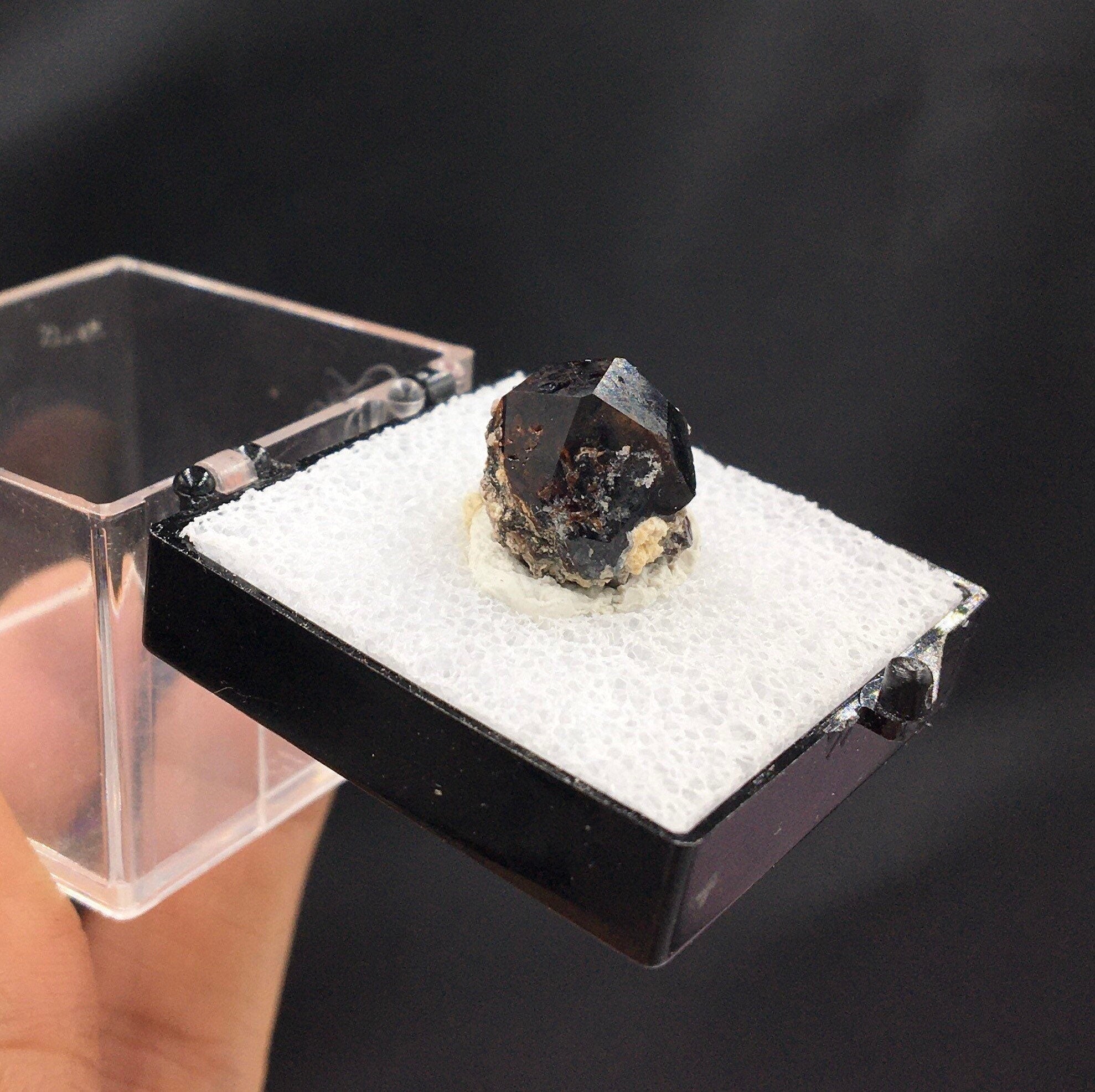 Almandine Garnet (Thumbnail Specimen)--Garnet Hill, White Pine, Nevada. USA TN1