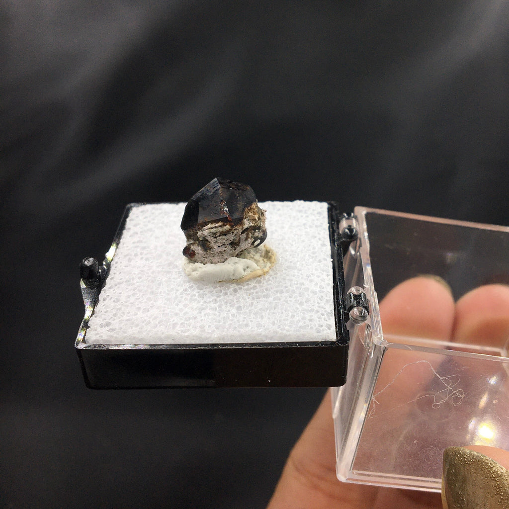 Almandine Garnet (Thumbnail Specimen)--Garnet Hill, White Pine, Nevada. USA TN1