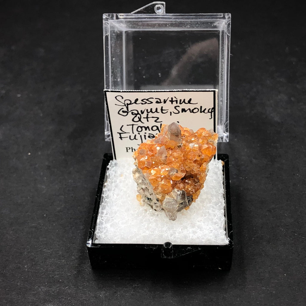 Spessartine Garnet Smoky Quartz Mineral Specimen: Tongbei, China (TN15)
