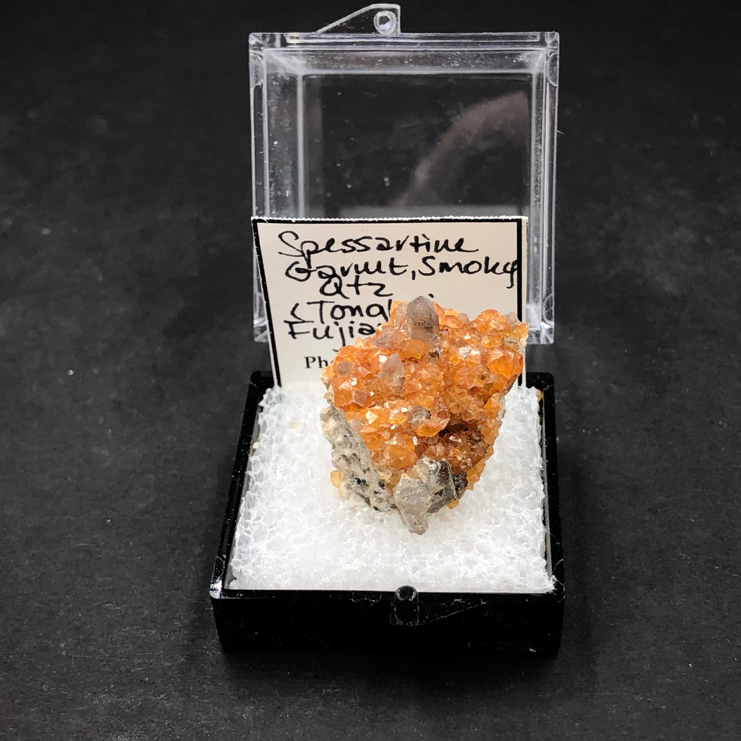 Spessartine Garnet Smoky Quartz Mineral Specimen: Tongbei, China (TN15)