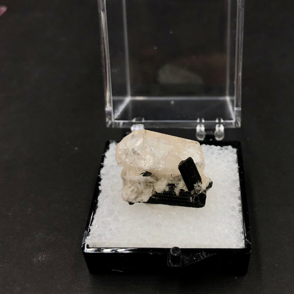Topaz DT Schorl (Thumbnail Specimen)-- Pakistan TN20