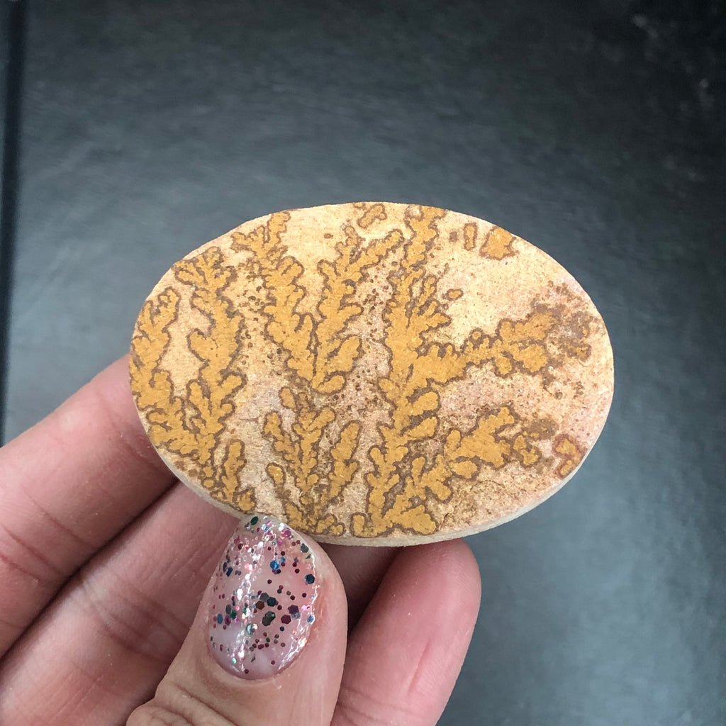 Dendritic Limestone D Cabochon-- Solenhofen, Jurassic Age, Hienheim, Germany MINI21
