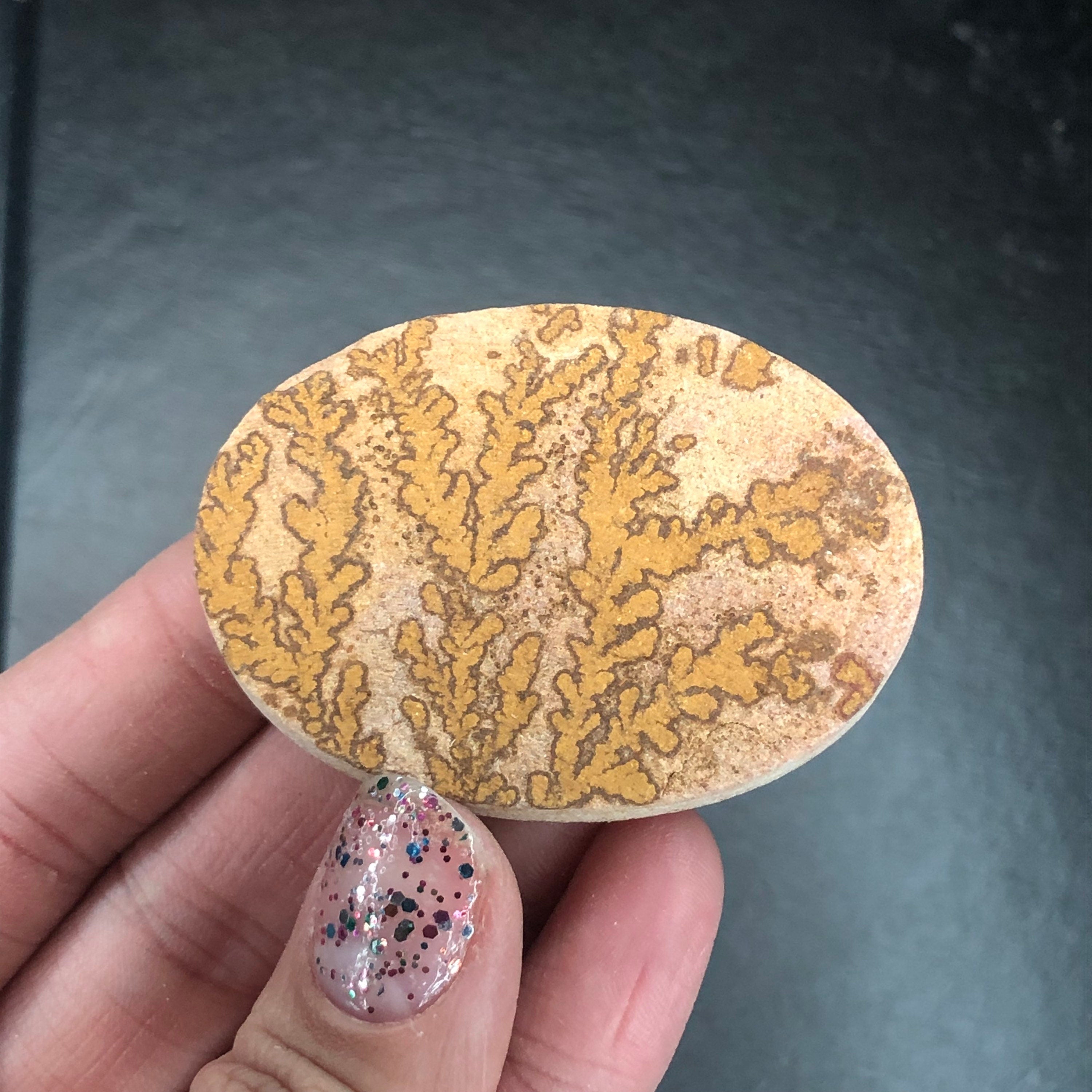 Dendritic Limestone D Cabochon-- Solenhofen, Jurassic Age, Hienheim, Germany MINI21