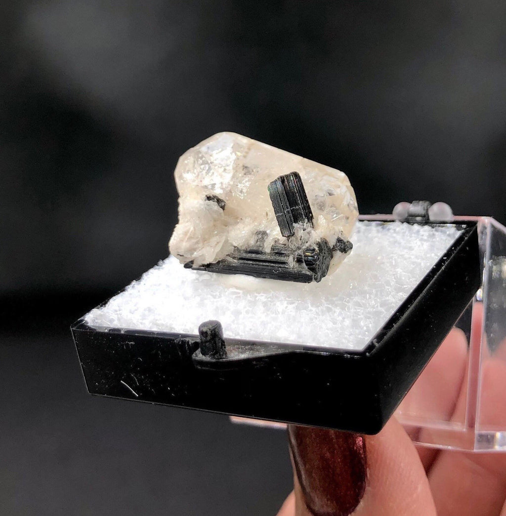 Topaz DT Schorl (Thumbnail Specimen)-- Pakistan TN20