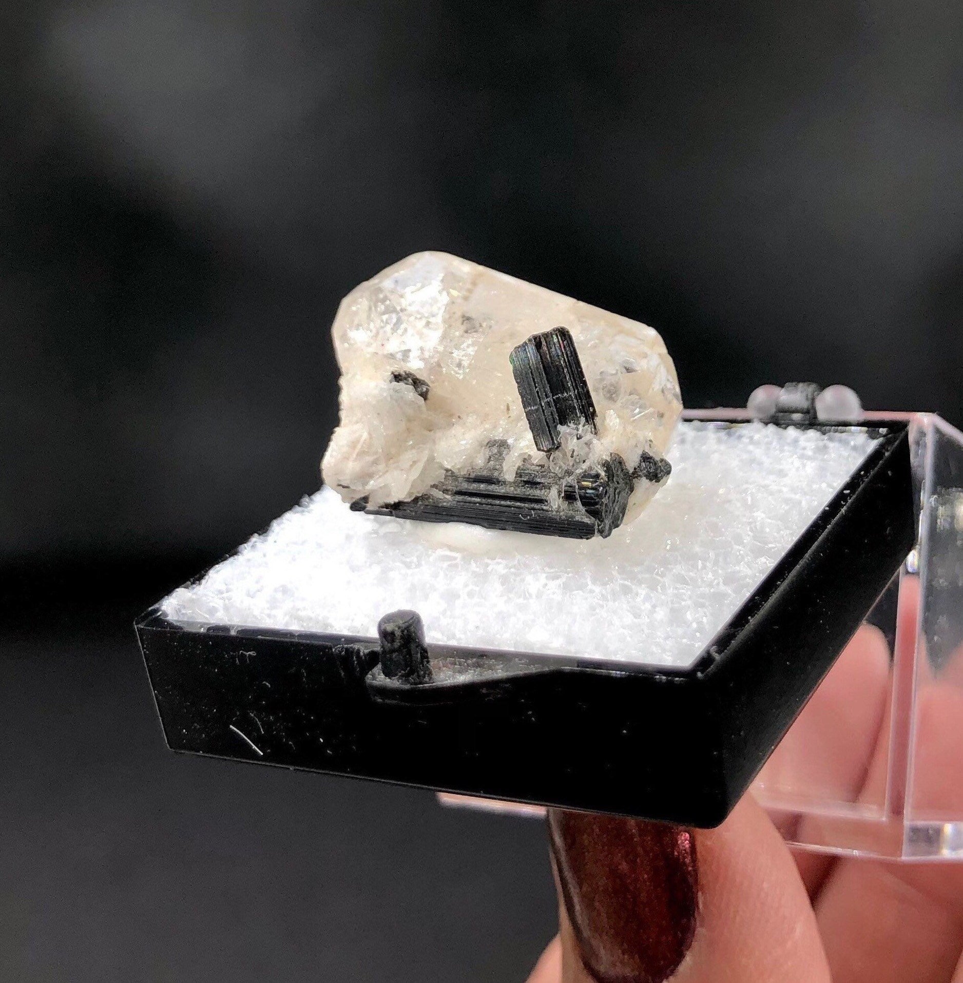 Topaz DT Schorl (Thumbnail Specimen)-- Pakistan TN20