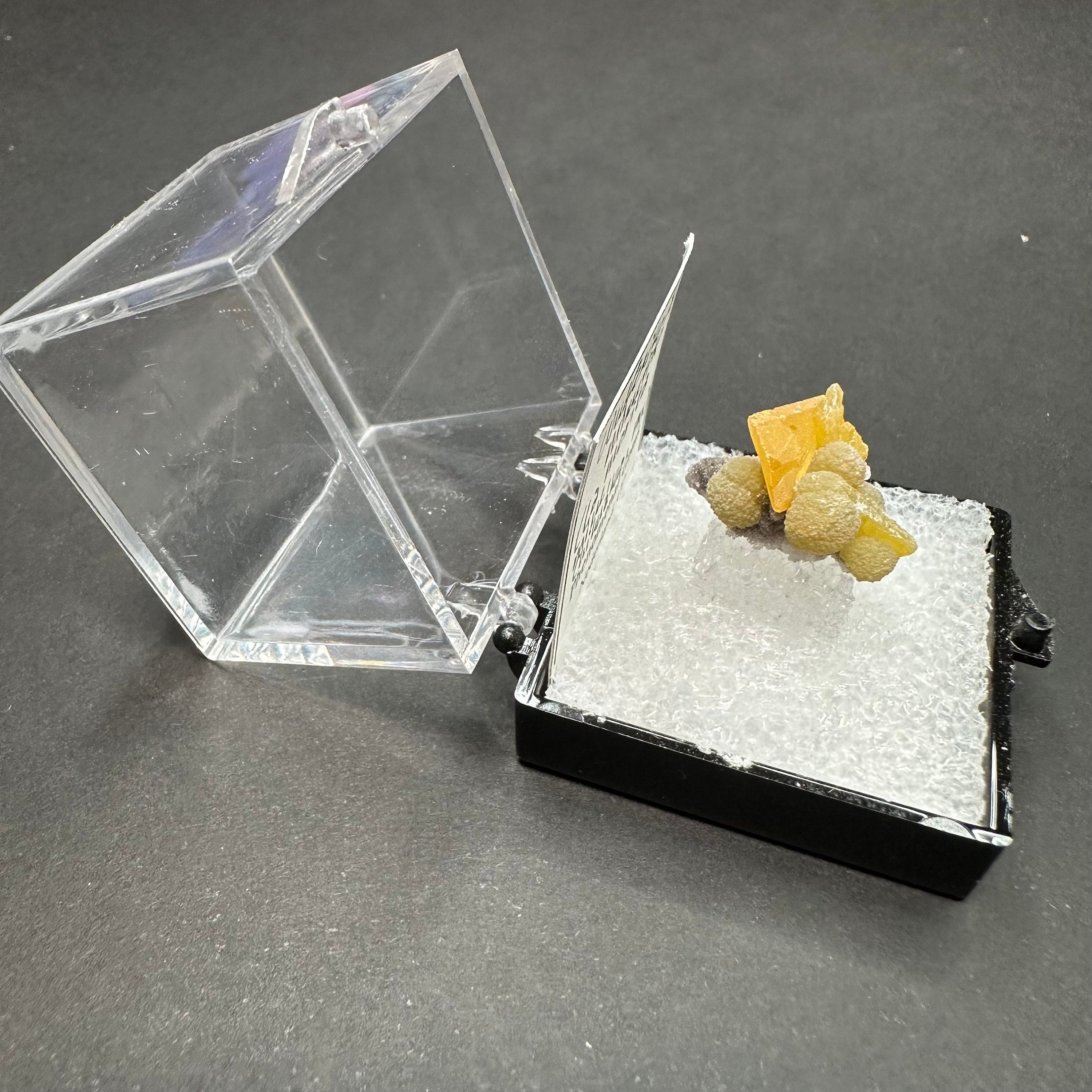 Wulfenite Mimetite (Thumbnail Specimen)--La Morita Mine, Mexico TN23