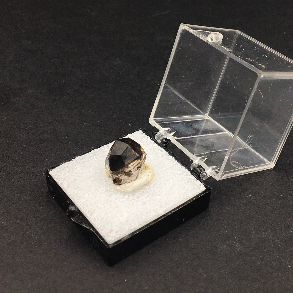 Almandine Garnet (Thumbnail Specimen)--Garnet Hill, White Pine, Nevada. USA TN1
