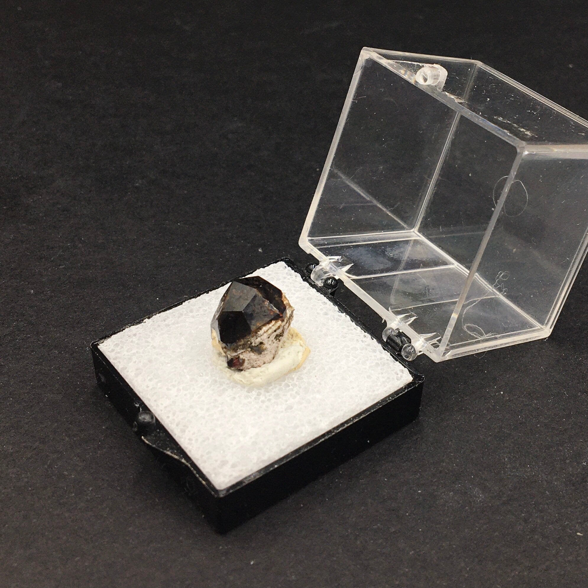 Almandine Garnet (Thumbnail Specimen)--Garnet Hill, White Pine, Nevada. USA TN1