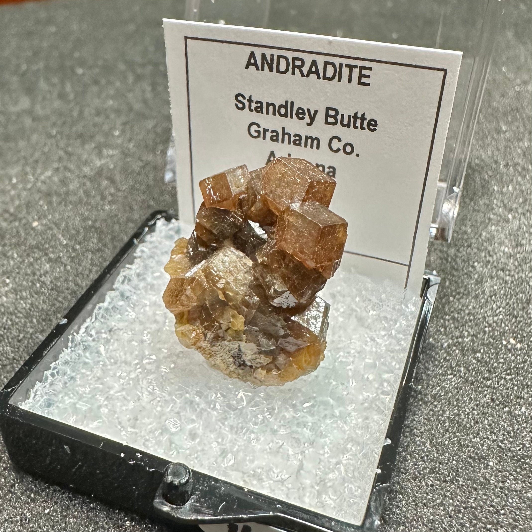 Andradite Garnets Cluster (Thumbnail Specimen)--Stanley Butte, Arizona, USA TN2