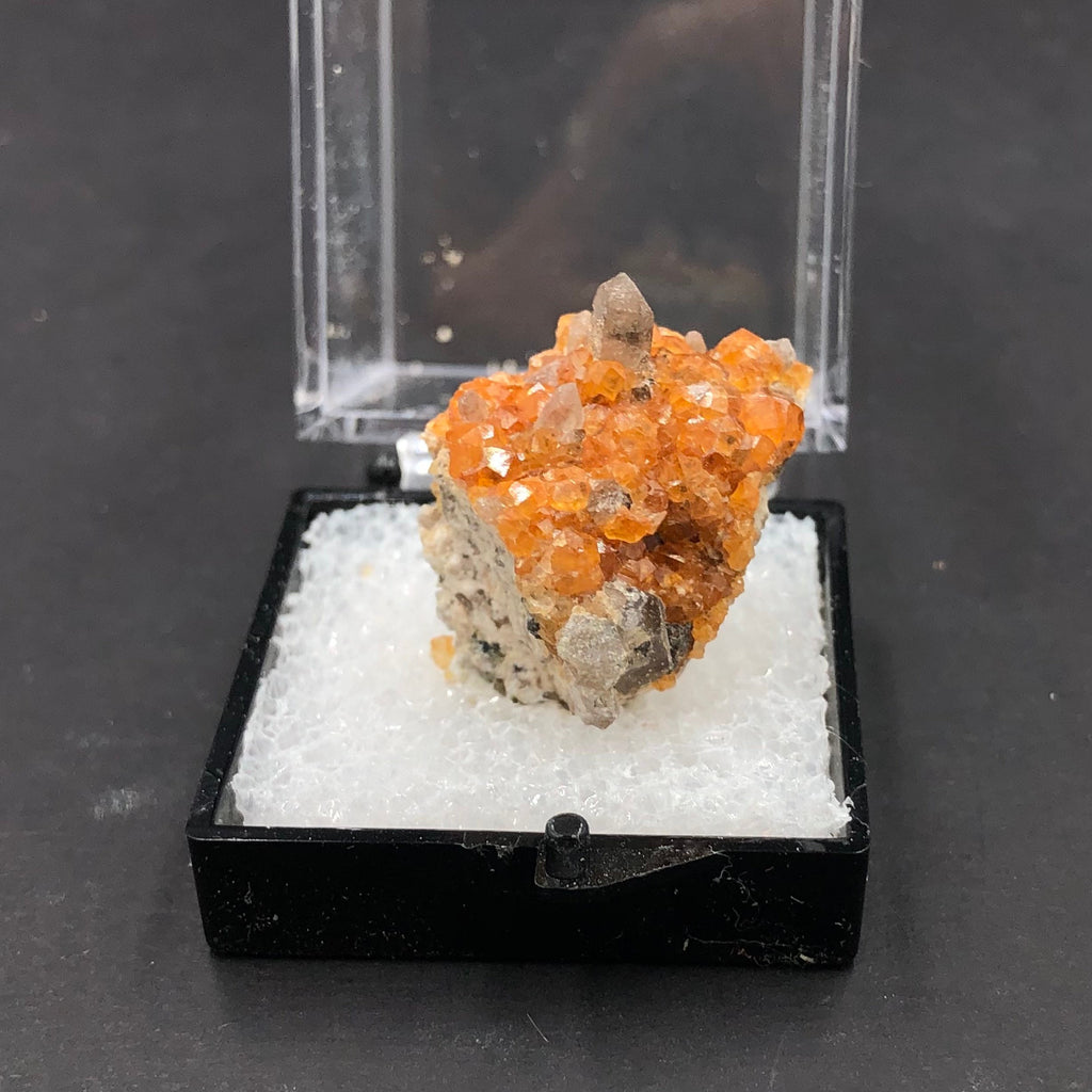 Spessartine Garnet Smoky Quartz Mineral Specimen: Tongbei, China (TN15)