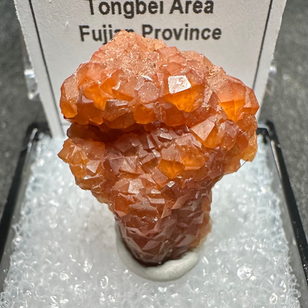 Spessartine Garnets Cluster (Thumbnail Specimen)--Tongbei, Fujian, China TN17